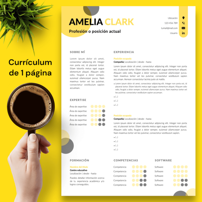 Currículum Amelia Clark - 02 - 1 página