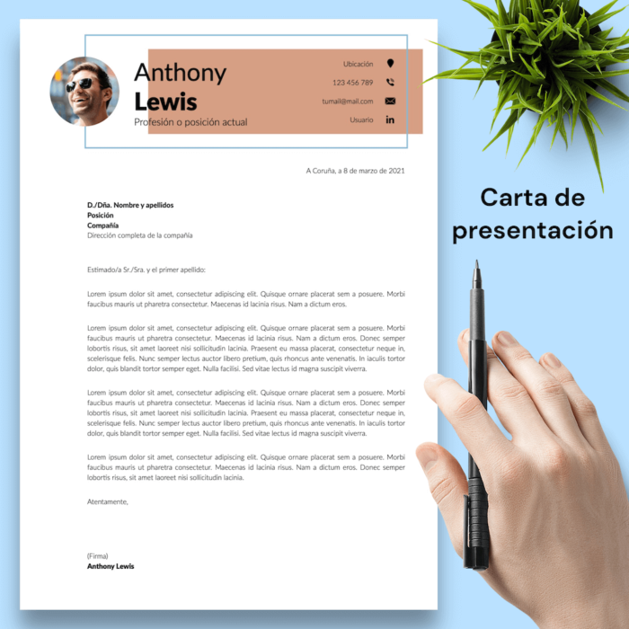 Currículum Anthony Lewis - 04 - Carta de presentación