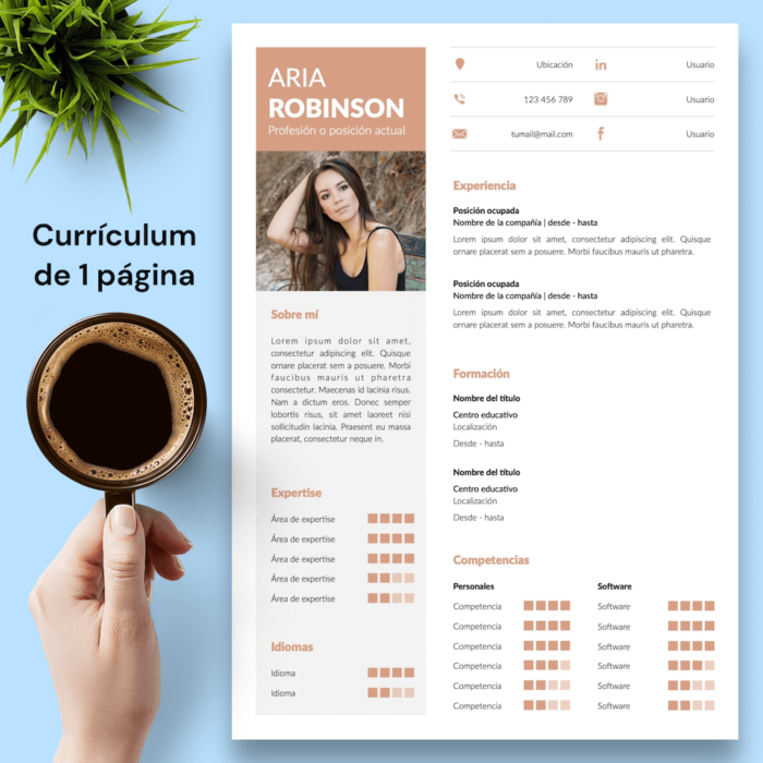 Currículum Aria Robinson - 02 - 1 página