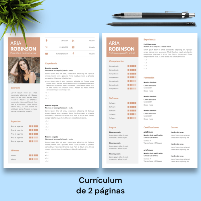 Currículum Aria Robinson - 03 - 2 páginas
