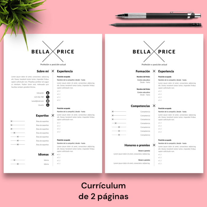 Currículum Bella Price - 03 - 2 páginas