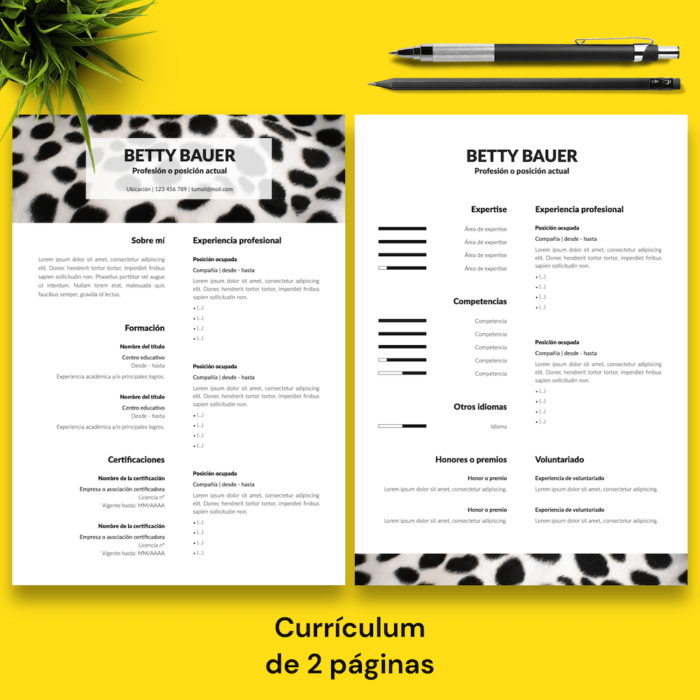 Currículum Betty Bauer - 03 - 2 páginas