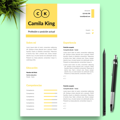 Currículum Camila King - 01 - Presentación