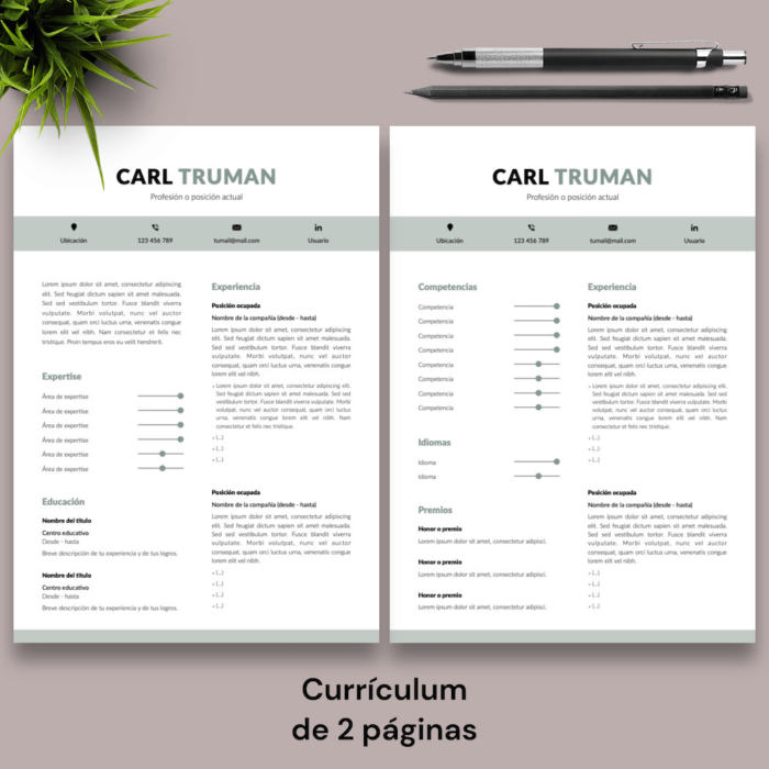 Currículum Carl Truman - 03 - 2 páginas