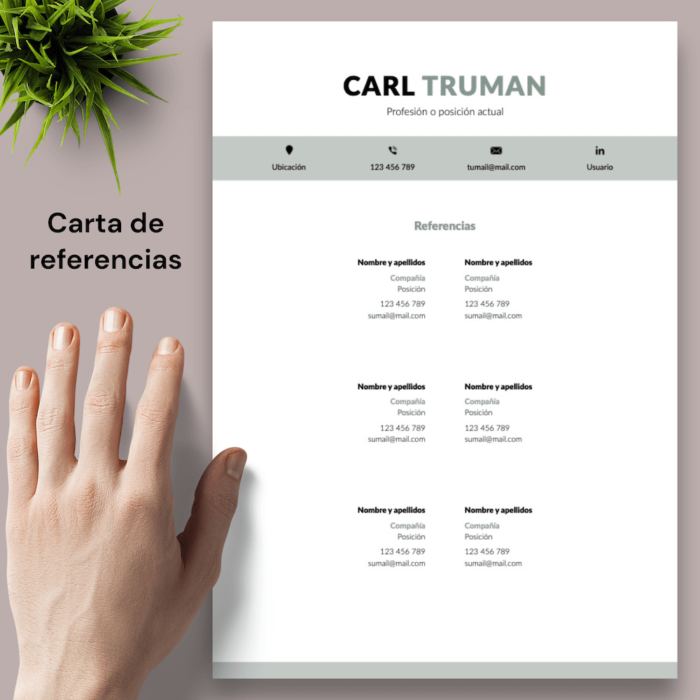 Currículum Carl Truman - 05 - Carta de referencias