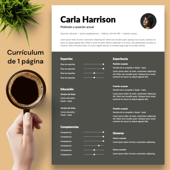 Currículum Carla Harrison - 02 - 1 página