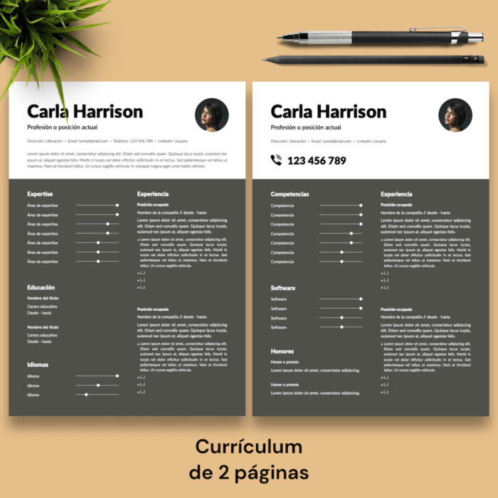 Currículum Carla Harrison - 03 - 2 páginas