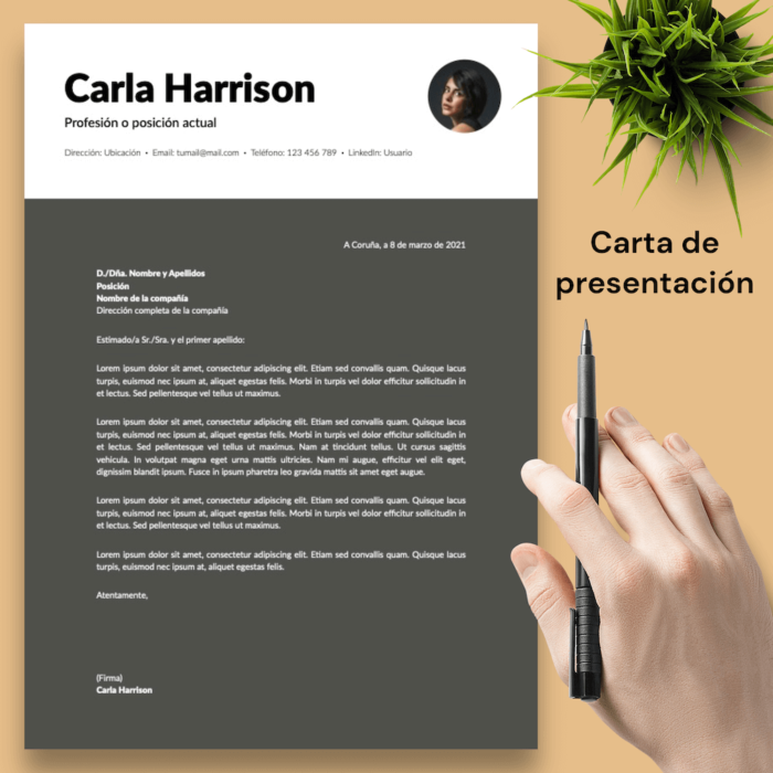 Currículum Carla Harrison - 04 - Carta de presentación