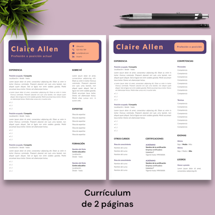 Currículum Claire Allen - 03 - 2 páginas
