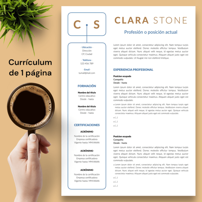Currículum Clara Stone - 02 - 1 página