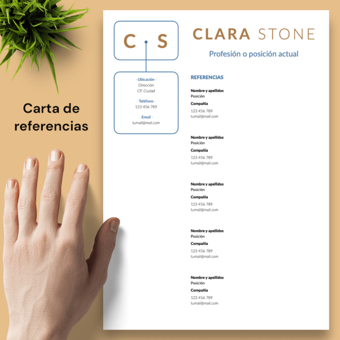 Currículum Clara Stone - 05 - Carta de referencias