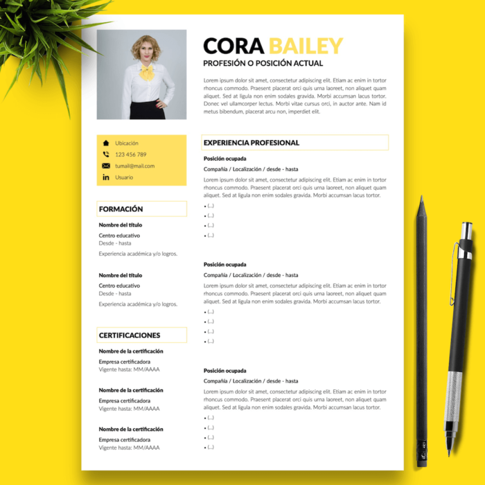 Currículum Cora Bailey - 01 - Presentación