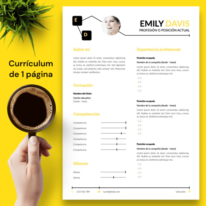 Currículum Emily Davis - 02 - 1 página