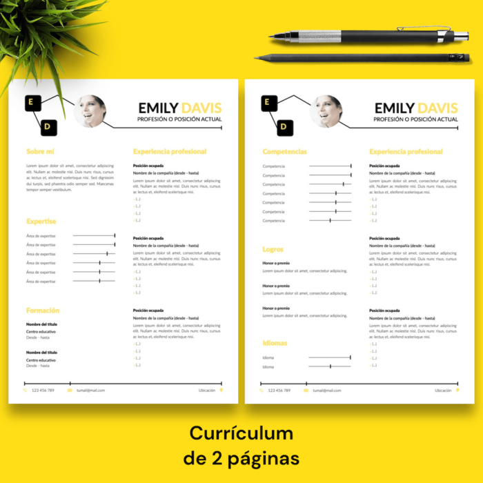 Currículum Emily Davis - 03 - 2 páginas