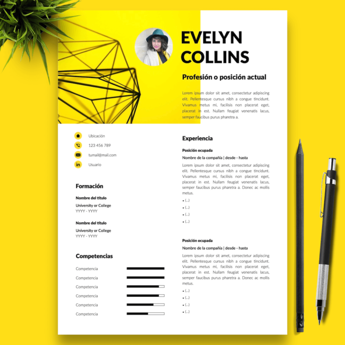 Currículum Evelyn Collins - 01 - Presentación