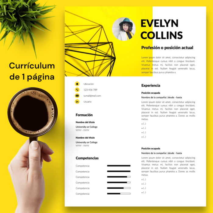Currículum Evelyn Collins - 02 - 1 página