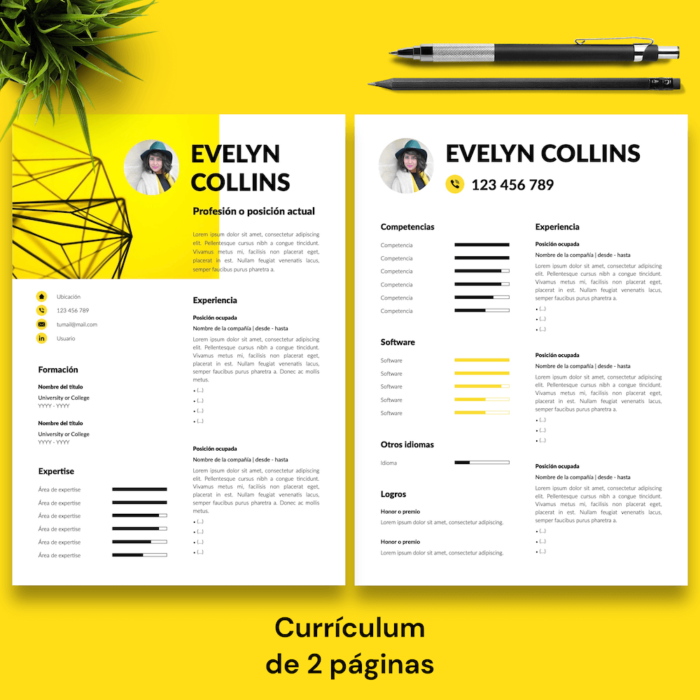 Currículum Evelyn Collins - 03 - 2 páginas