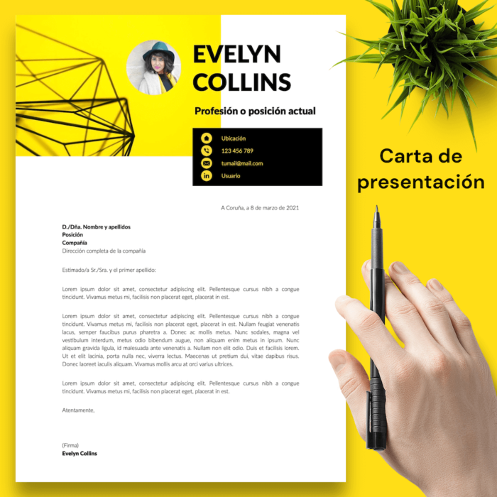 Currículum Evelyn Collins - 04 - Carta de presentación