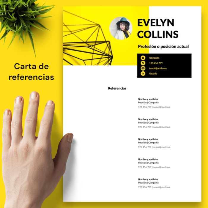Currículum Evelyn Collins - 05 - Carta de referencias