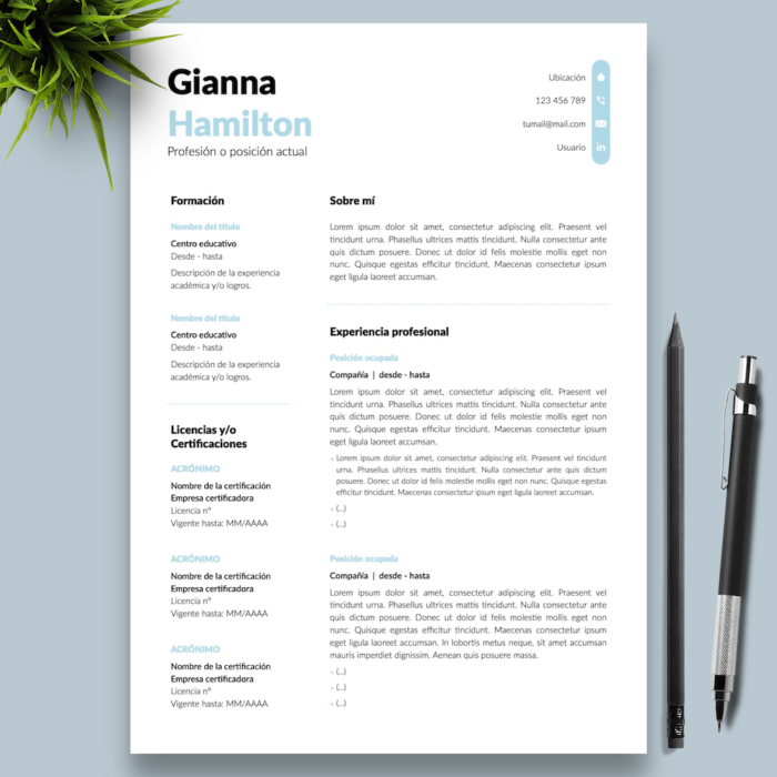 Currículum Gianna Hamilton - 01 - Presentación