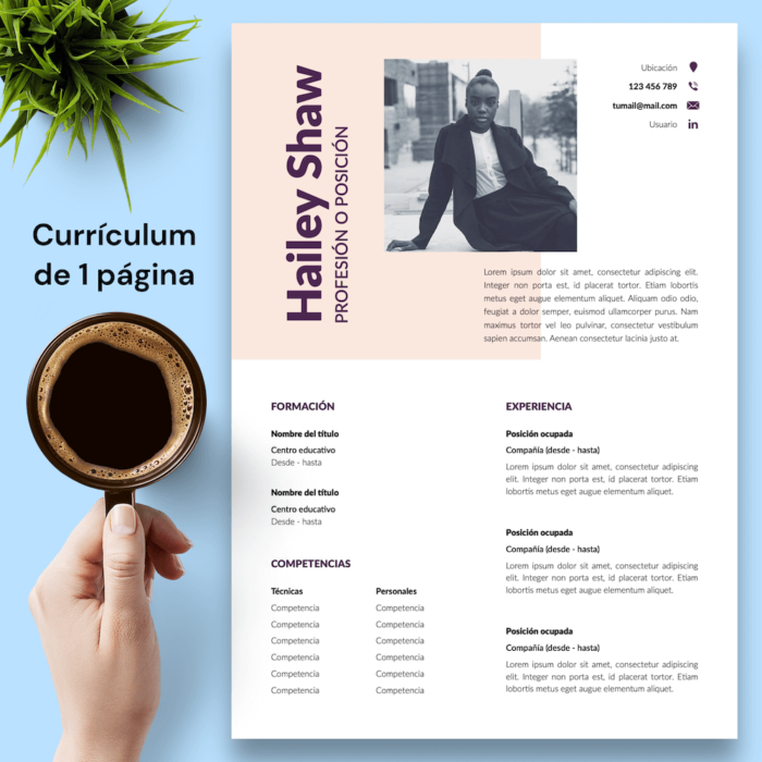 Currículum Hailey Shaw - 02 - 1 página