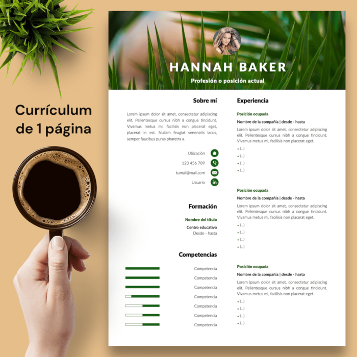 Currículum Hannah Baker - 02 - 1 página