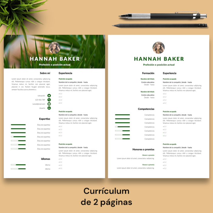 Currículum Hannah Baker - 03 - 2 páginas