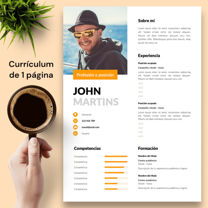 Currículum John Martins - 02 - 1 página