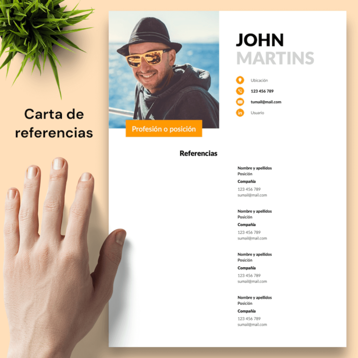 Currículum John Martins - 05 - Carta de referencias