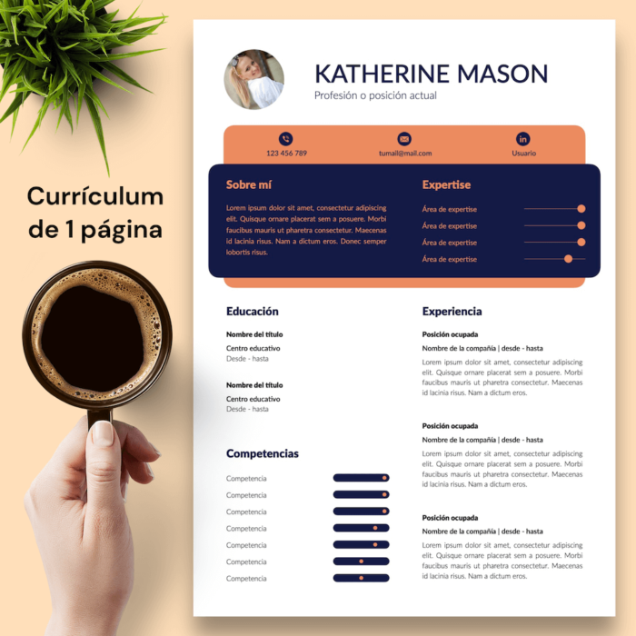 Currículum Katherine Mason - 02 - 1 página