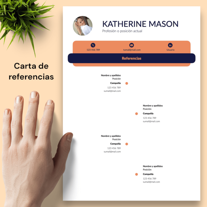 Currículum Katherine Mason - 05 - Carta de referencias