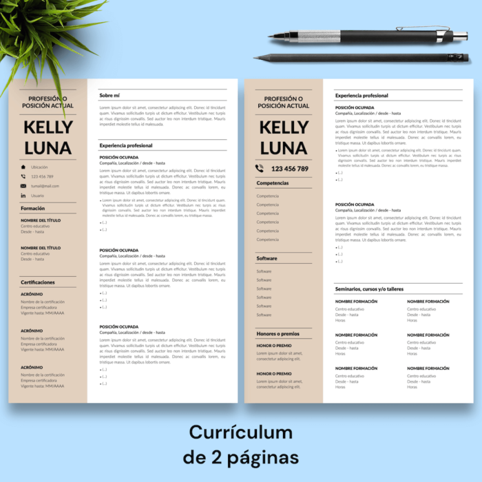 Currículum Kelly Luna - 03 - 2 páginas