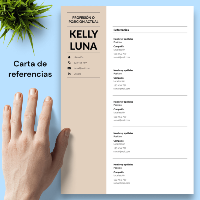 Currículum Kelly Luna - 05 - Carta de referencias