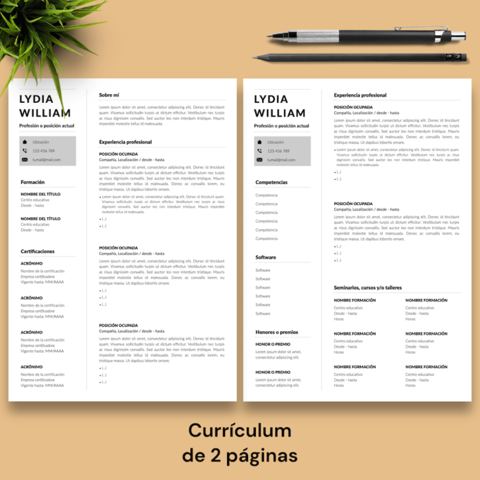 Currículum Lydia William - 03 - 2 páginas