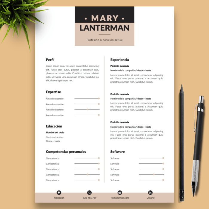 Currículum Mary Lanterman - 01 - Presentación