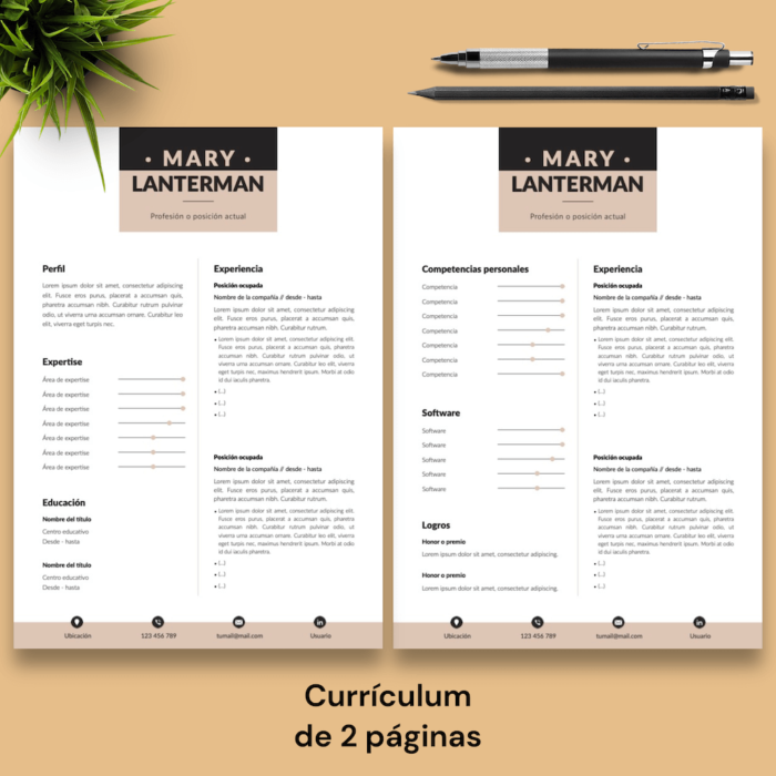 Currículum Mary Lanterman - 03 - 2 páginas