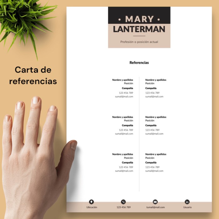 Currículum Mary Lanterman - 05 - Carta de referencias