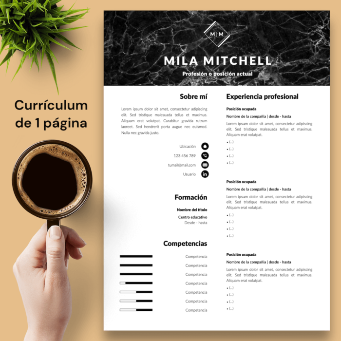Currículum Mila Mitchell - 02 - 1 página