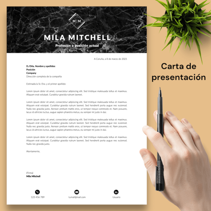 Currículum Mila Mitchell - 04 - Carta de presentación