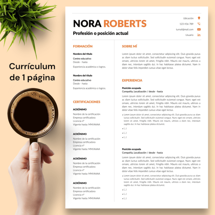 Currículum Nora Roberts - 02 - 1 página