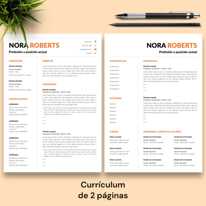 Currículum Nora Roberts - 03 - 2 páginas