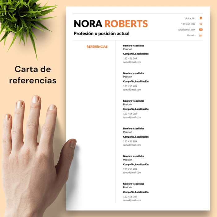 Currículum Nora Roberts - 05 - Carta de referencias