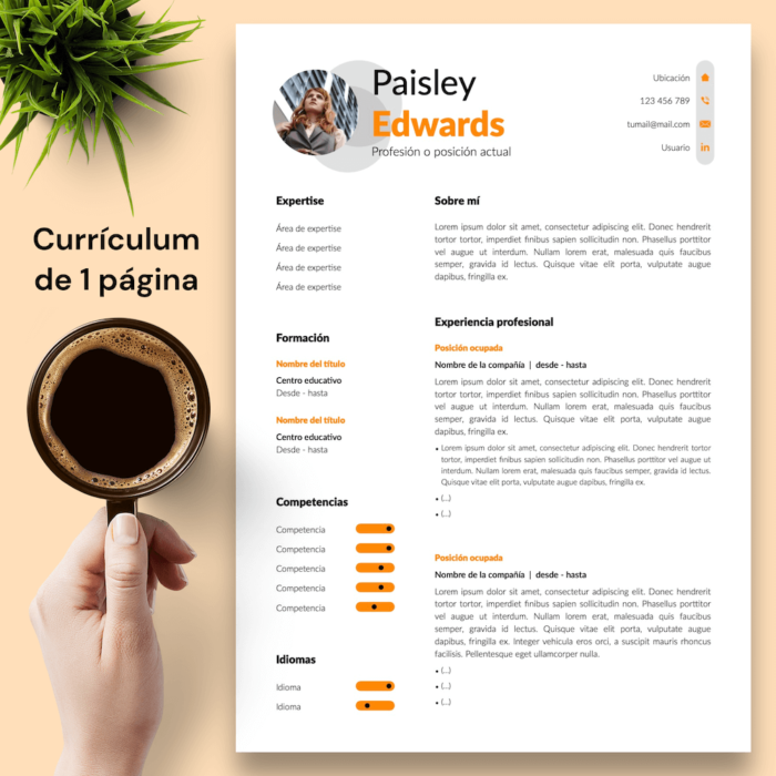 Currículum Paisley Edwards - 02 - 1 página