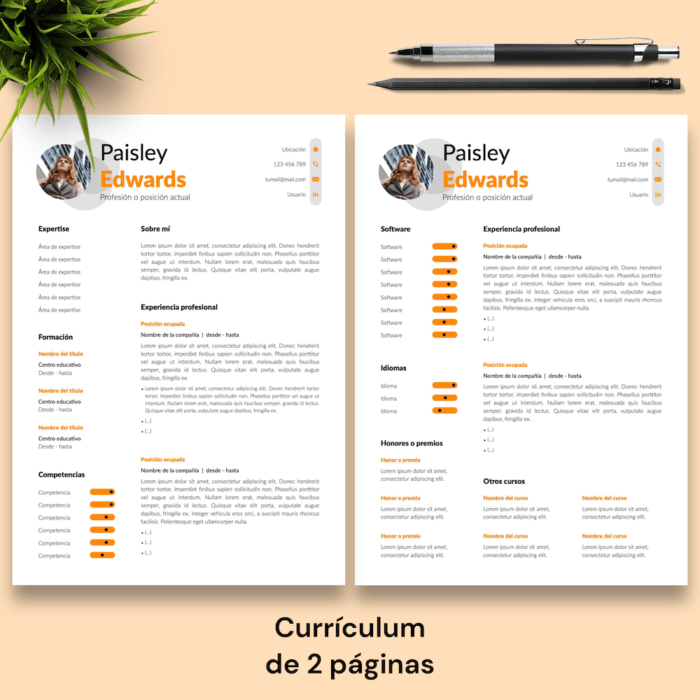 Currículum Paisley Edwards - 03 - 2 páginas