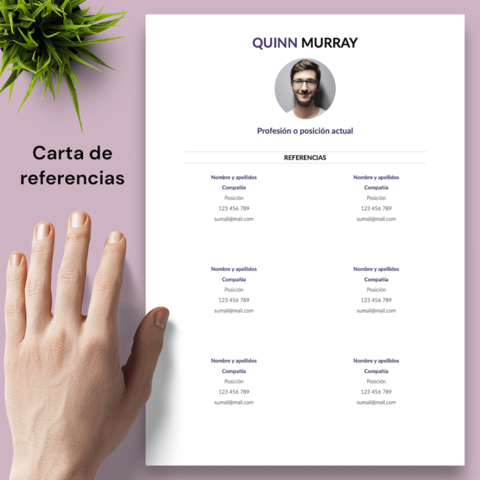 Currículum Quinn Murray - 05 - Carta de referencias