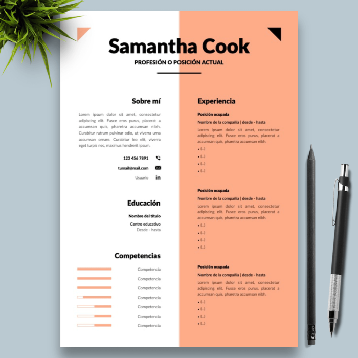Currículum Samantha Cook - 01 - Presentación