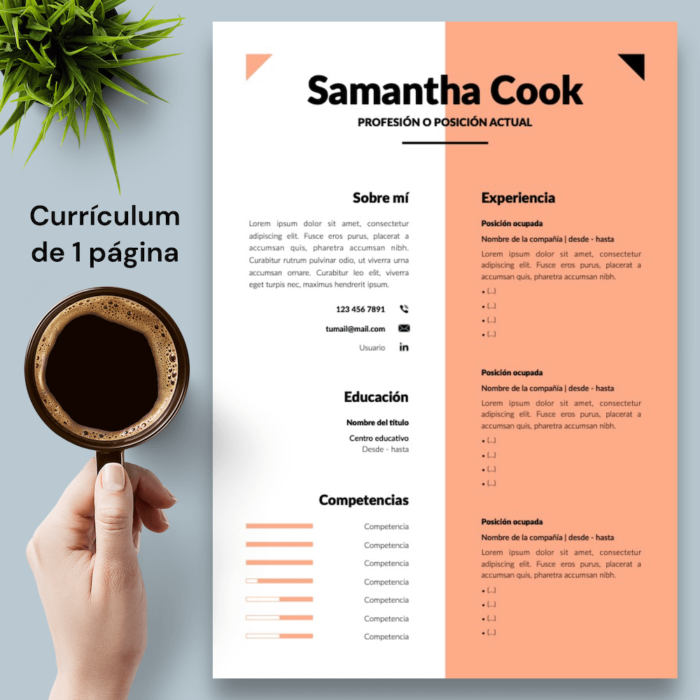 Currículum Samantha Cook - 02 - 1 página