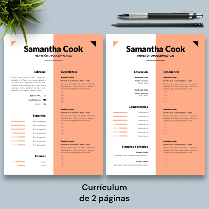 Currículum Samantha Cook - 03 - 2 páginas