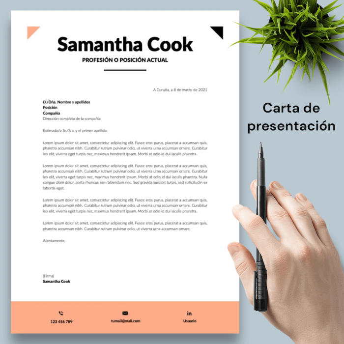 Currículum Samantha Cook - 04 - Carta de presentación
