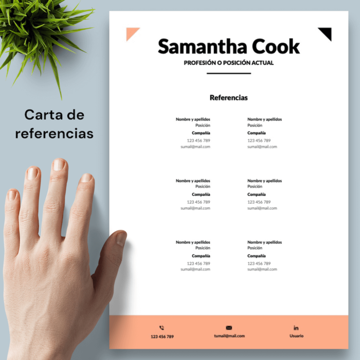 Currículum Samantha Cook - 05 - Carta de referencias